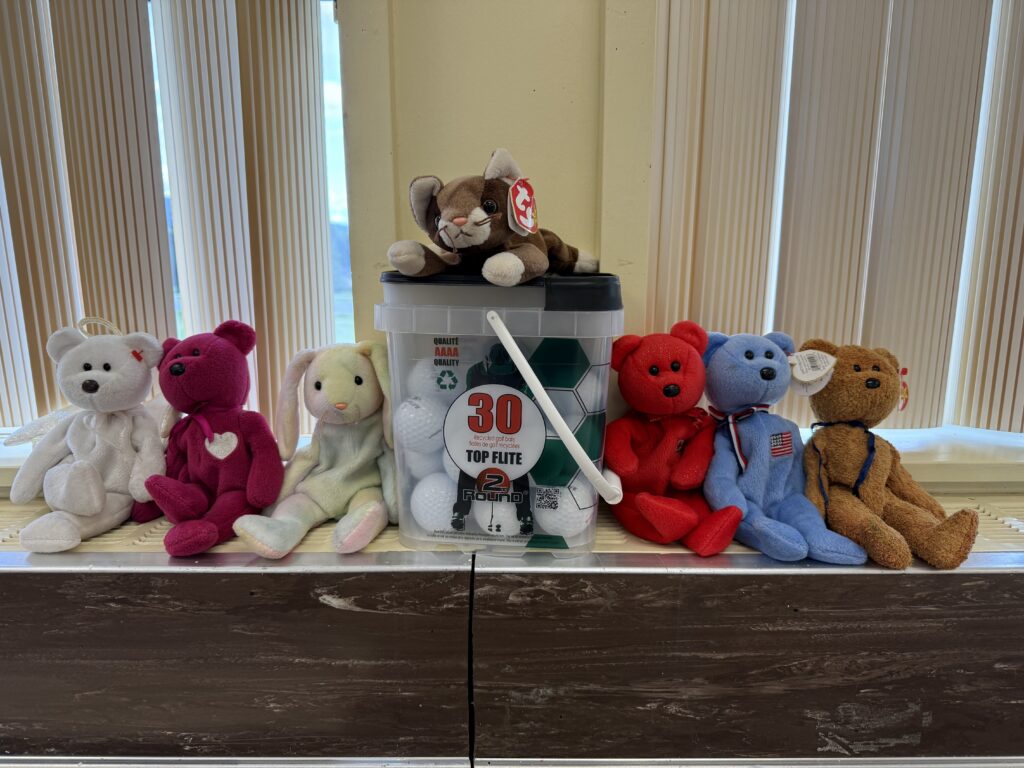 A line of small stuffed animals are arranged on a window sill in a dance studio. The animals include bears of mutiple colours as well as a sloth and a pastel rabbit.